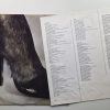 Rolling Stones – Tattoo You - Afbeelding 3