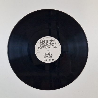 12 Inch - Naomi Daniel – The Naomi Daniel EP - Afbeelding 3