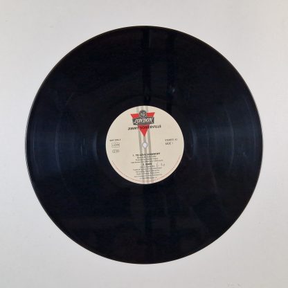 12 Inch - Jimmy Somerville – To Love Somebody - Afbeelding 2
