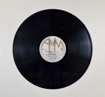 Styx – Cornerstone - Afbeelding 6