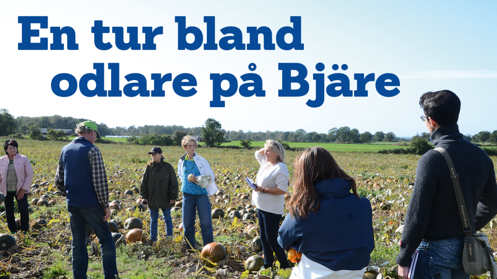 Ur senaste numret En tur bland odlare på Bjäre