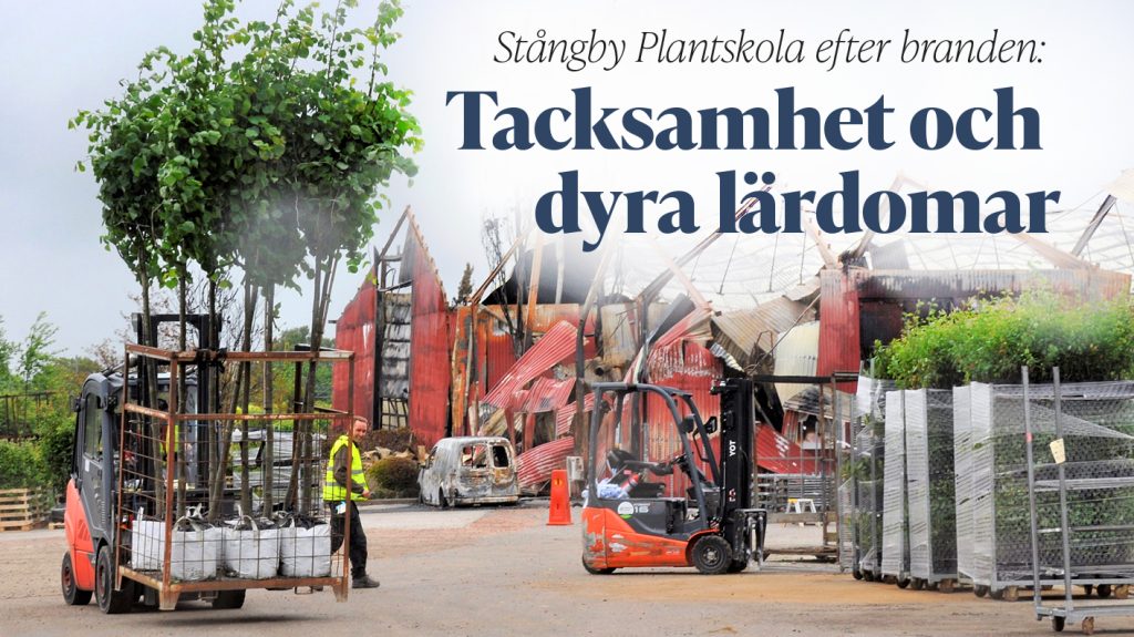 Stångby Plantskola efter branden: Tacksamhet och dyra lärdomar