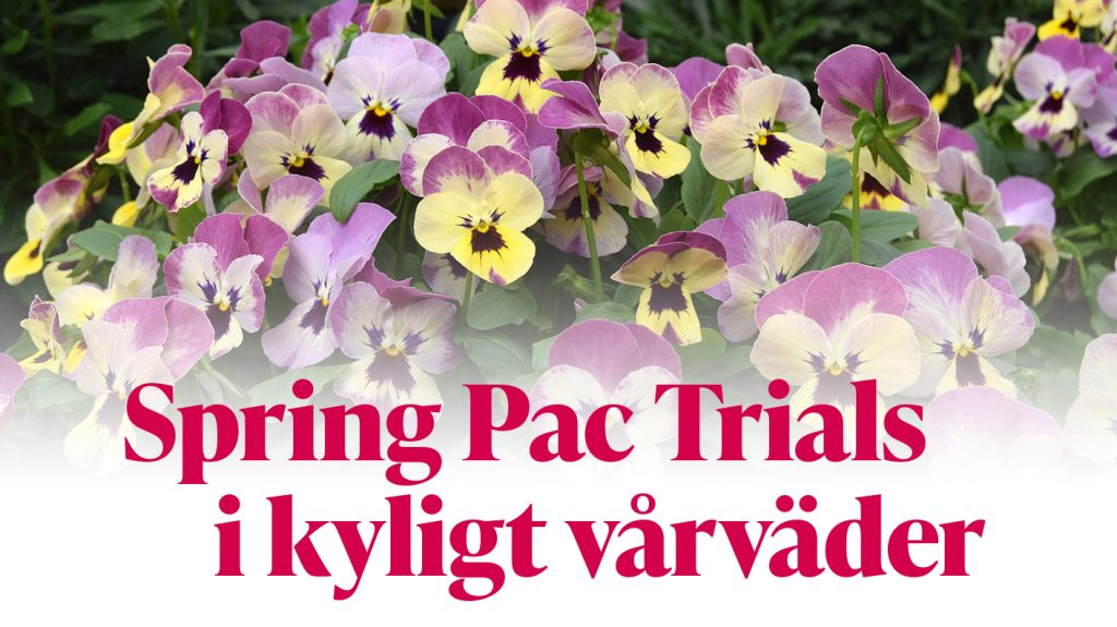 Spring Pac Trials i kyligt vårväder