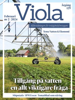 Framsidan av Viola nr 2 2024