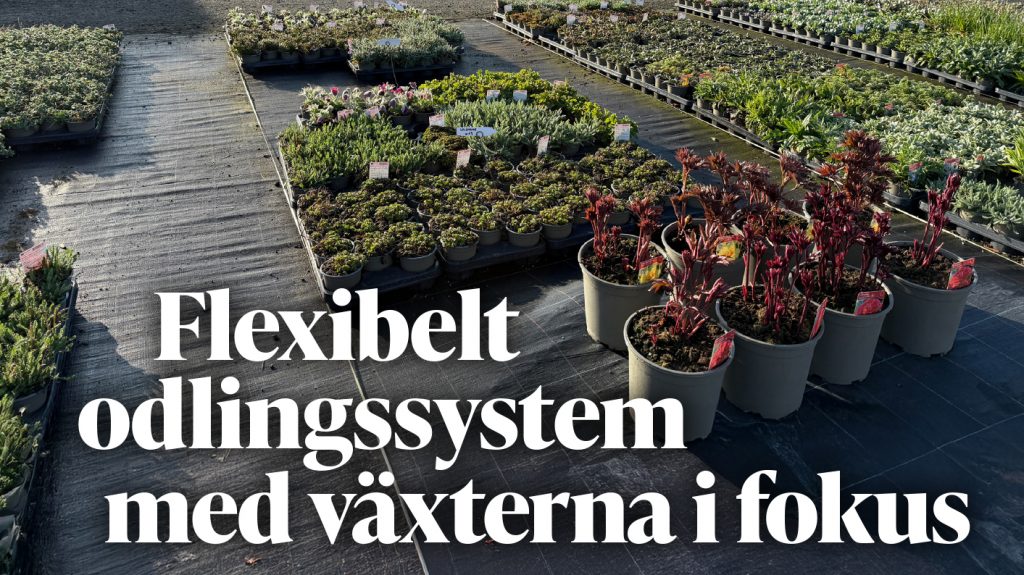 Ur senaste numret Flexibelt odlingssystem med växterna i fokus