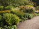Botanisk Trädgård