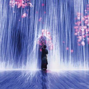 universe-of-water-particles-transcending-boundaries-2017-superblue-miami-teamlab-stirworld-210505065626