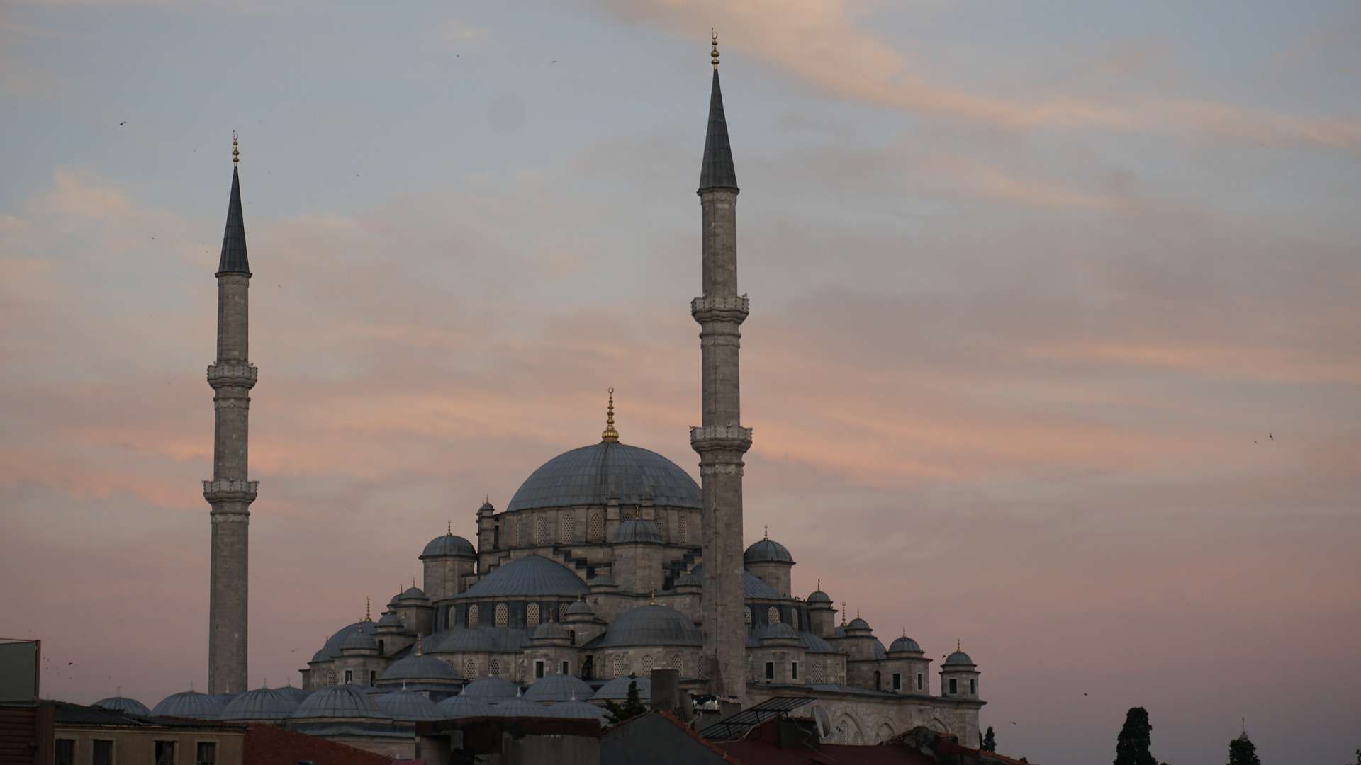 Мечеть Фатих: всё, что нужно знать перед посещением