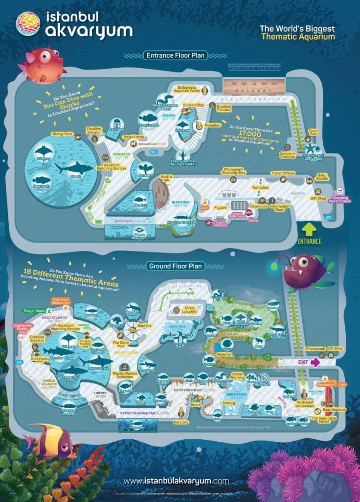схема аквариума Флория