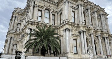 фасад дворца Бейлербей в Стамбуле с пальмой