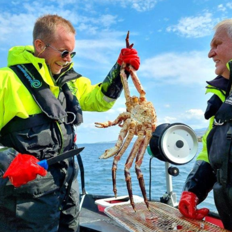 Go on a guided king crab safari