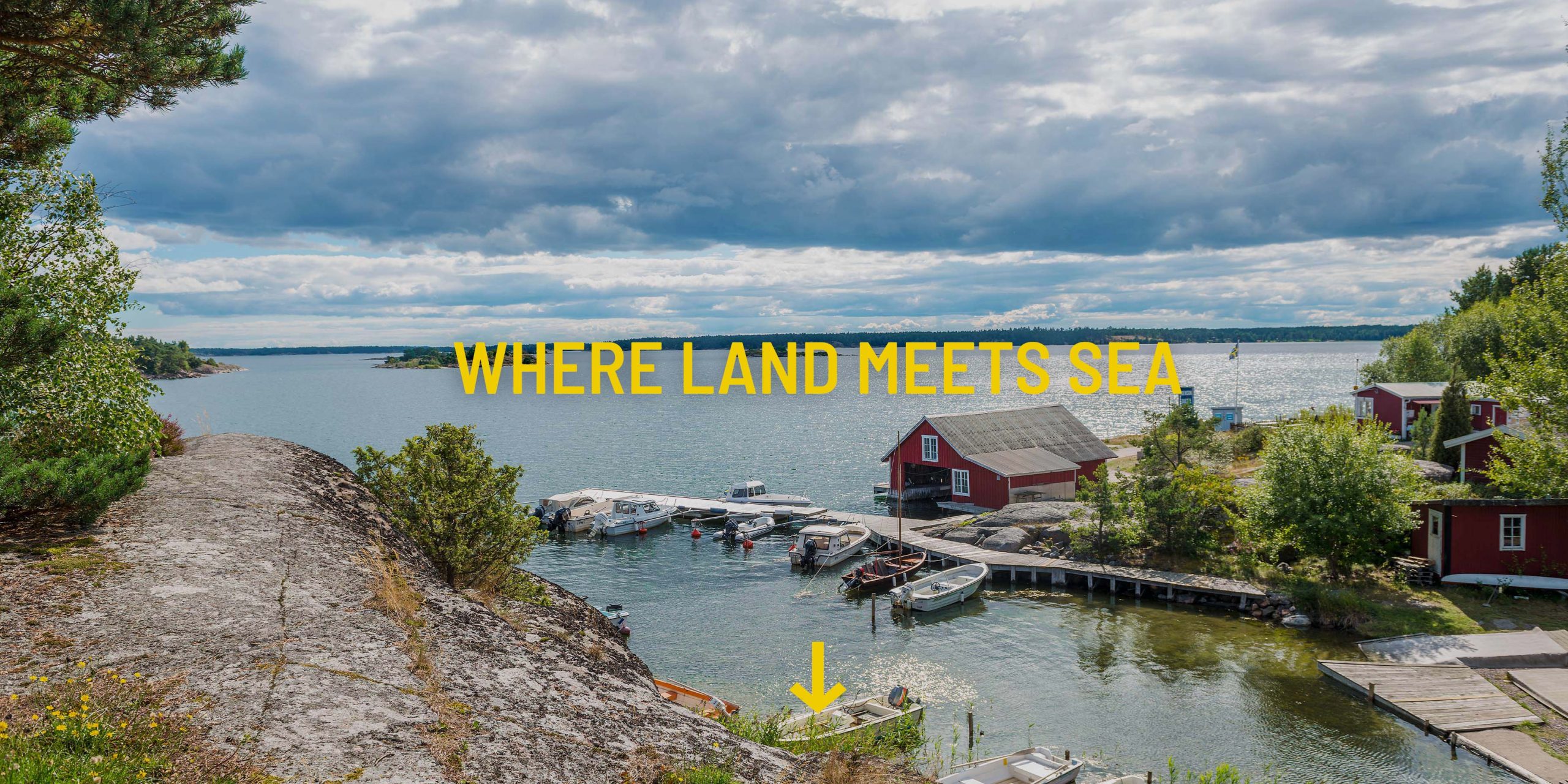Grilled perch with wild herbs on a plate
