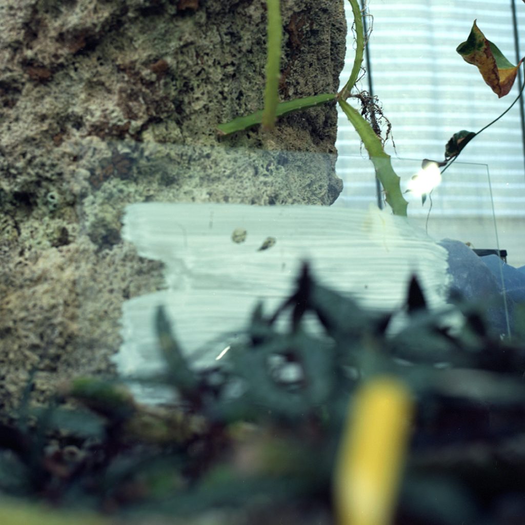 Vilde Salhus Røed Klara Sofie Ludvigsen Visningsrommet USF