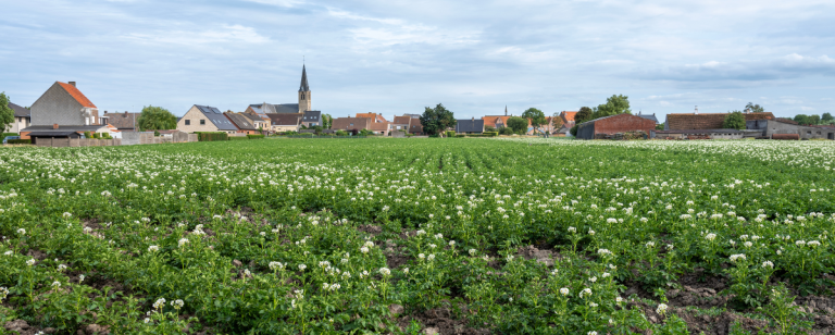 Vlaanderen