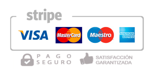 Logo Pago Seguro online Stripe 