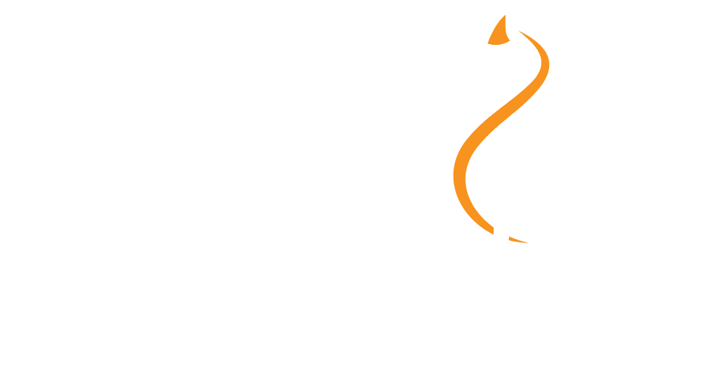 Visual Magician Logo Light