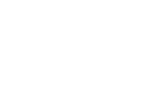 Visuell Vidd AB logo