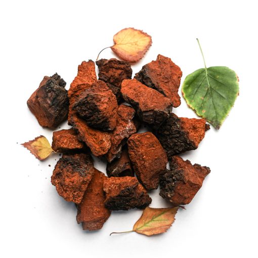 chaga pilz brocken tee