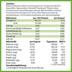 hc-balance-mineral-komplex-inhaltsstoffe