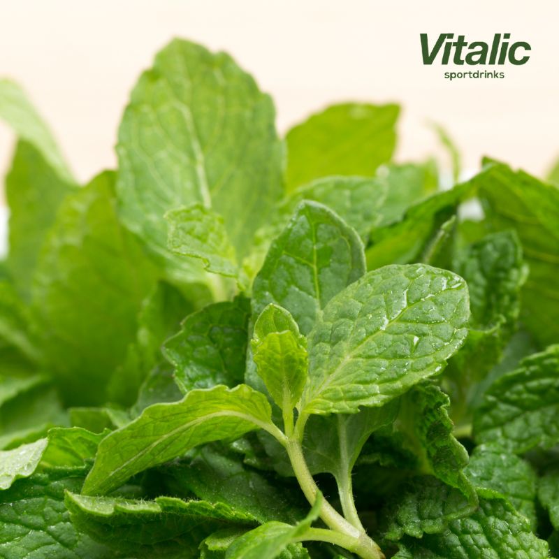 Vitalic online herbs