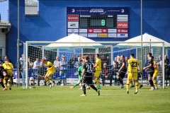 VfB_Krieschow-VFC_Plauen-18.4.22-41