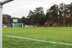 VfL_Vierraden-FC_Schwedt02II-12.11.22-0