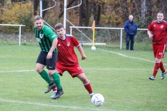 VfL_Vierraden-FC_Schwedt02II-12.11.22-13