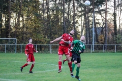 VfL_Vierraden-FC_Schwedt02II-12.11.22-17