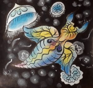 The drawing of Naked Sea Butterfly and Moon Jellyfish