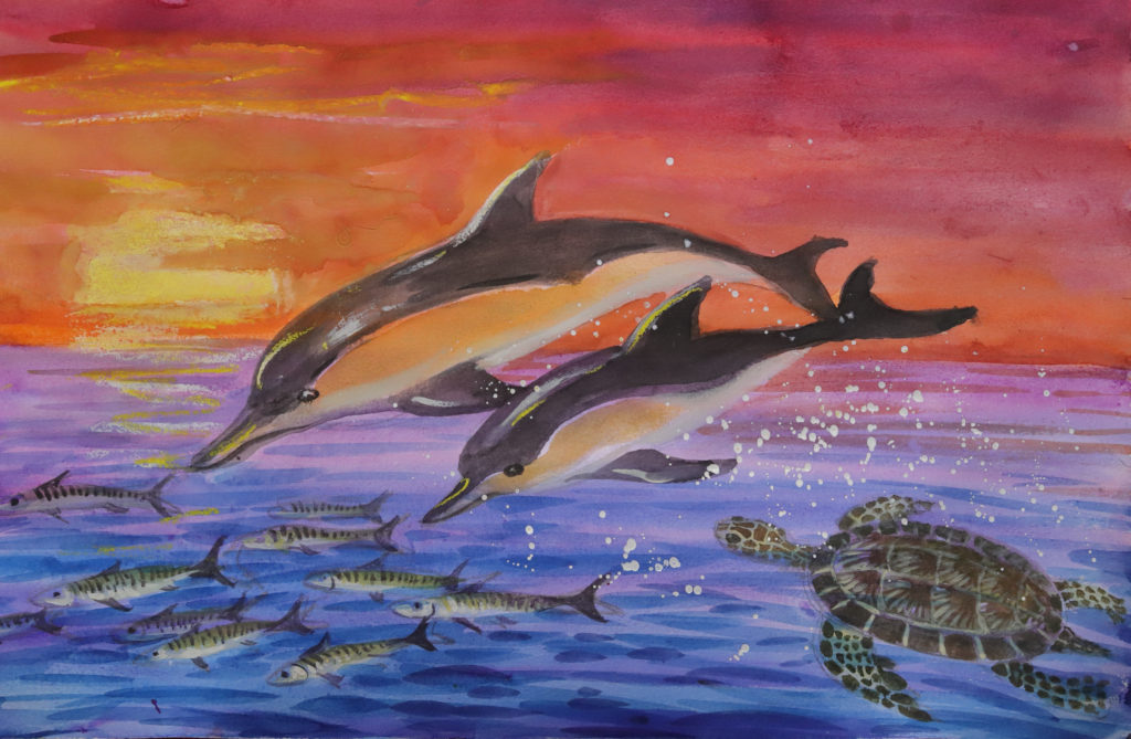 A Seascape with Common Dolphins, Green Sea Turtle and Mackerel.
Watercolor and Pastel on Paper