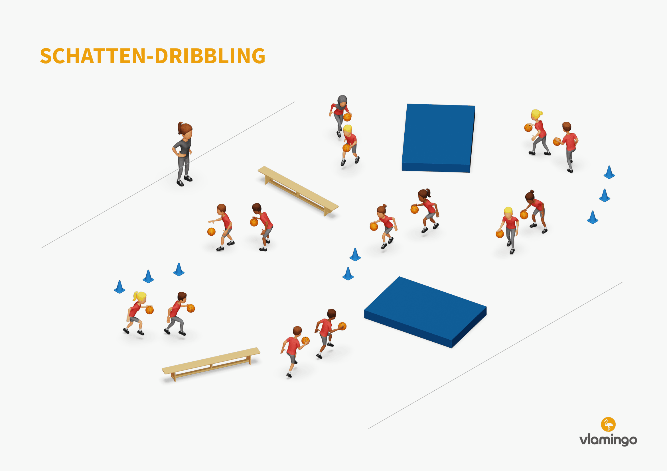 Schatten-Dribbling - Basketball