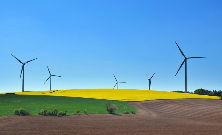 La via dello sviluppo sostenibile: responsabilità sociale, ambientale ed economica