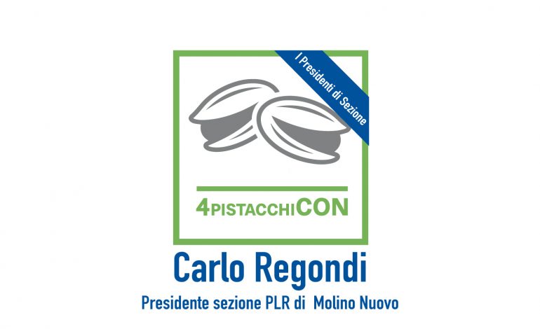  Intervista a Carlo Regondi