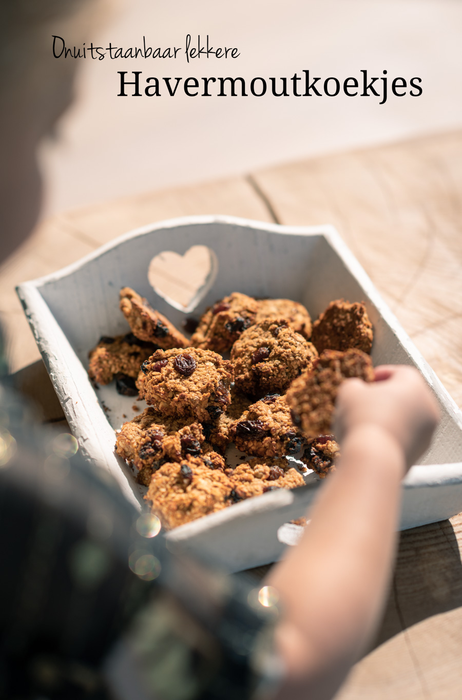 onweerstaanbaar lekkere havermoutkoekjes