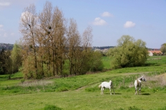 Busreis Huizingen