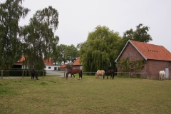 Ruytershovetocht 2013