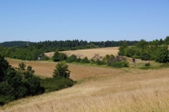 Vierdaagse Saarland