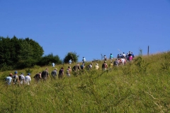 Vierdaagse Saarland