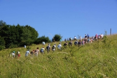 Vierdaagse Saarland