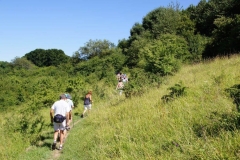 Vierdaagse Saarland