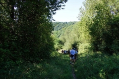 Vierdaagse Saarland