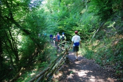 Vierdaagse Saarland