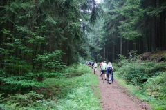 Vierdaagse Saarland