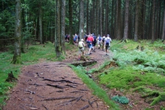 Vierdaagse Saarland