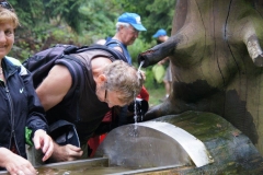 Vierdaagse Saarland