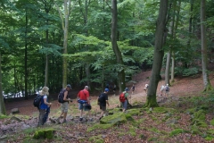 Vierdaagse Saarland