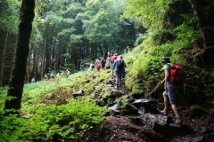 Vierdaagse Saarland