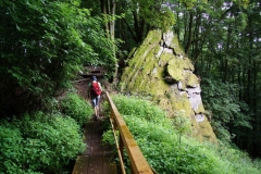 Vierdaagse Saarland