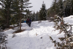 Wintervakantie Oostenrijk 2014