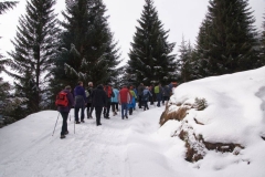 Wintervakantie Oostenrijk 2014